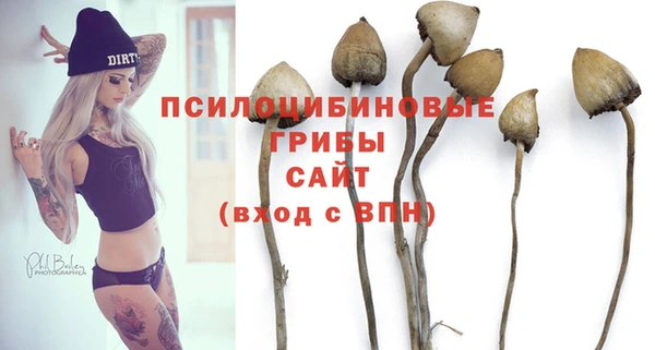 шишки Балабаново
