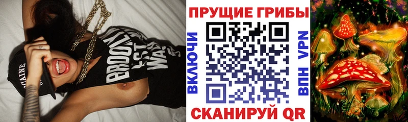 Псилоцибиновые грибы мухоморы  Гудермес 